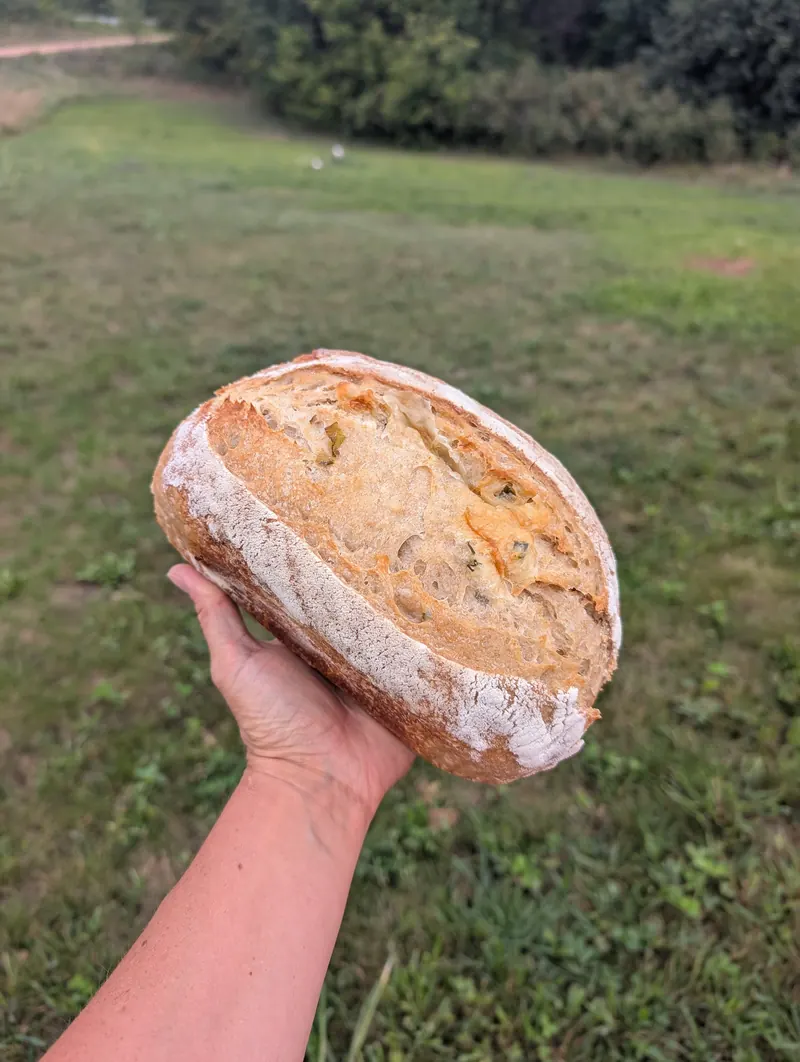 Sourdough Sour Cream and Onion Loaf