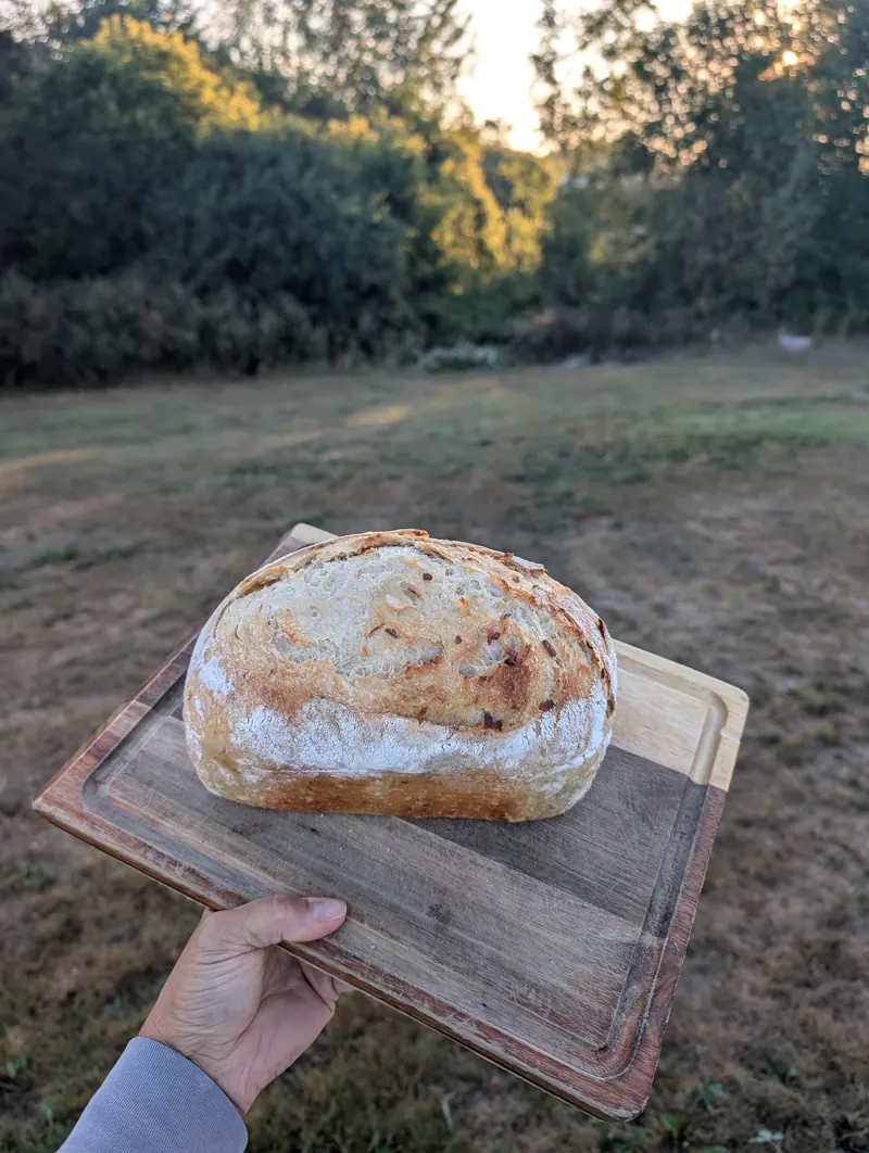 Sourdough Italian Garlic Cheese Loaf