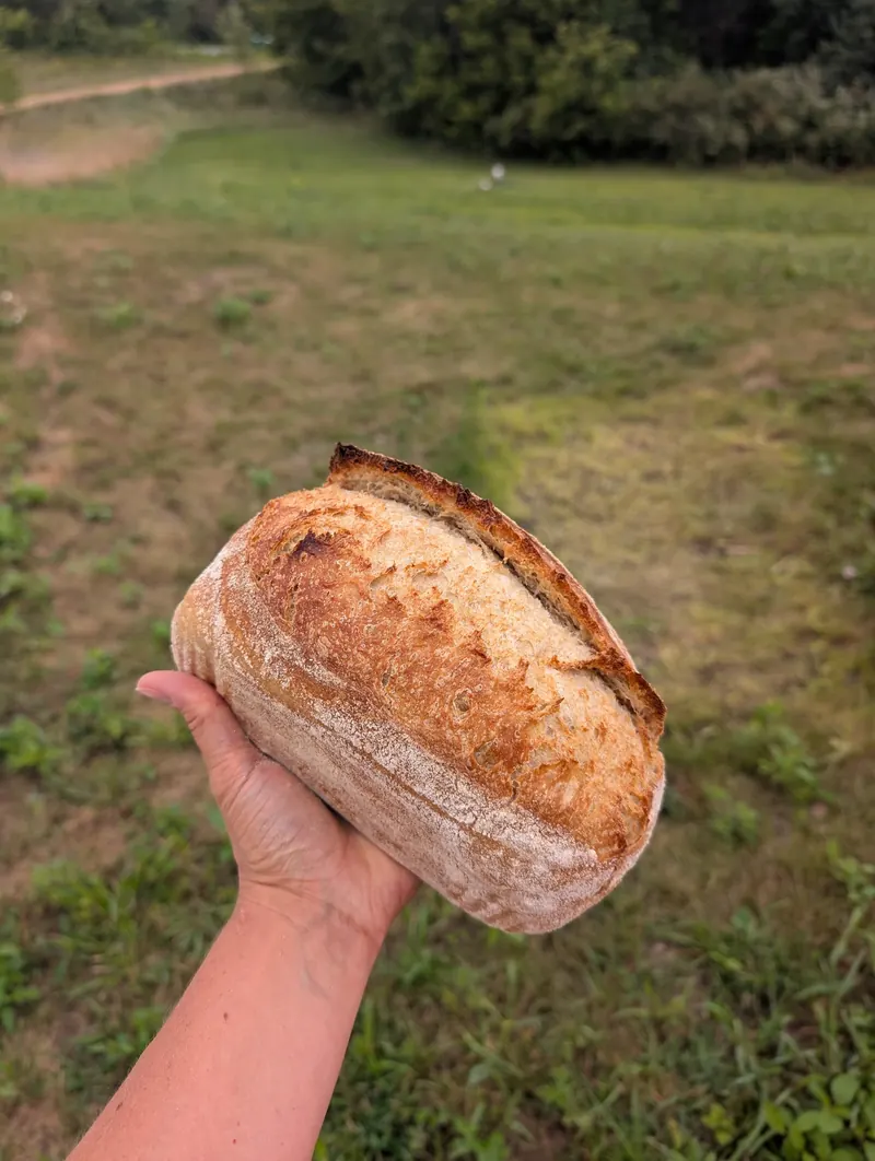 Classic Sourdough Loaf